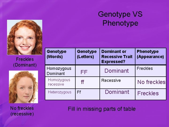 Genotype VS Phenotype Freckles (Dominant) Genotype (Words) Genotype (Letters) Homozygous Dominant FF Homozygous recessive