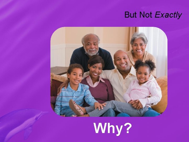 But Not Exactly Why? 