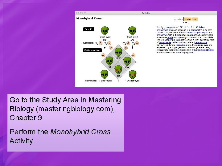 Go to the Study Area in Mastering Biology (masteringbiology. com), Chapter 9 Perform the