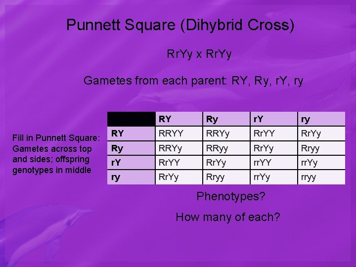 Punnett Square (Dihybrid Cross) Rr. Yy x Rr. Yy Gametes from each parent: RY,