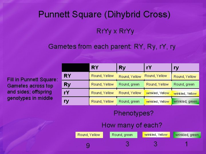 Punnett Square (Dihybrid Cross) Rr. Yy x Rr. Yy Gametes from each parent: RY,