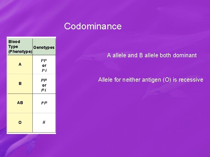 Codominance Blood Type Genotypes (Phenotype) A IAIA A allele and B allele both dominant