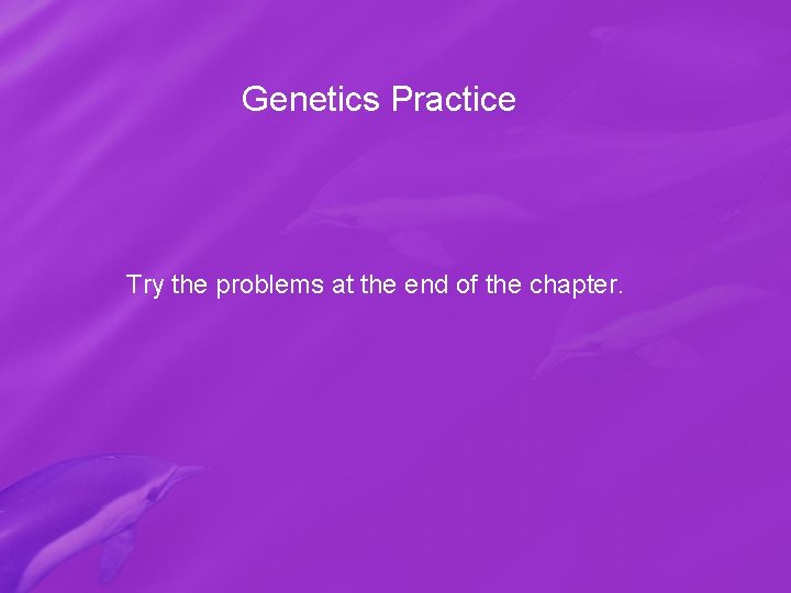 Genetics Practice Try the problems at the end of the chapter. 