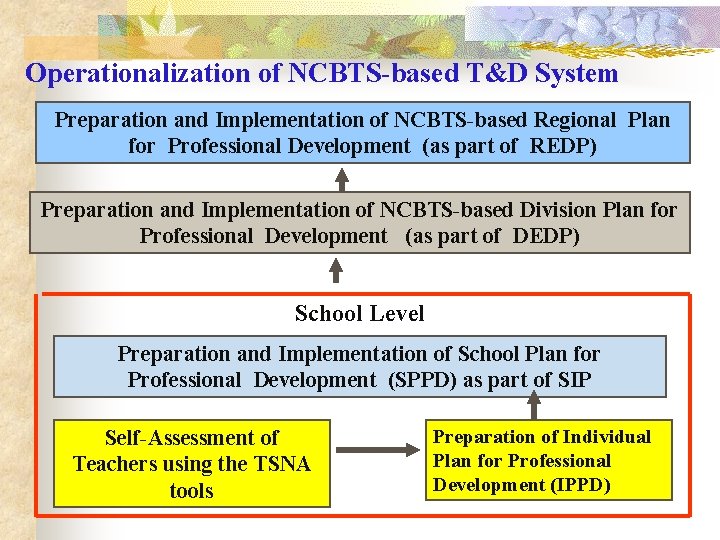 Operationalization of NCBTS-based T&D System Preparation and Implementation of NCBTS-based Regional Plan for Professional