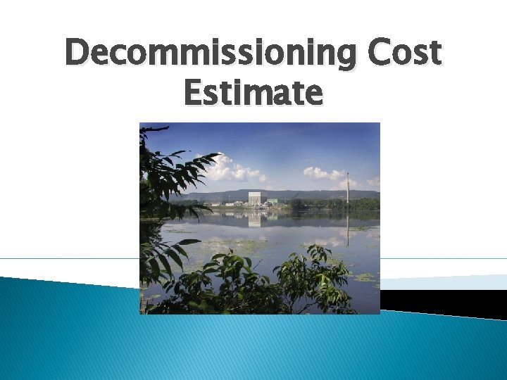 Decommissioning Cost Estimate 