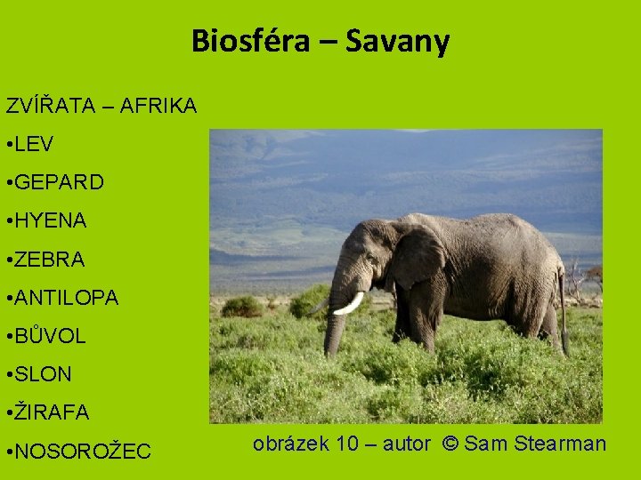 Biosféra – Savany ZVÍŘATA – AFRIKA • LEV • GEPARD • HYENA • ZEBRA