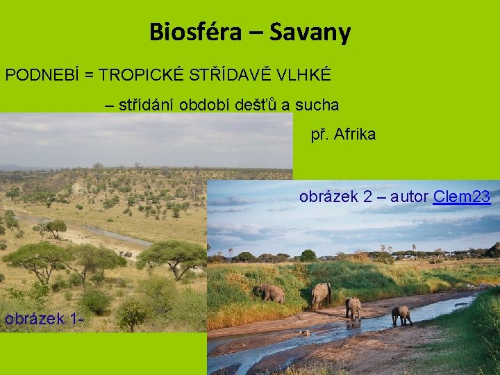 Biosféra – Savany PODNEBÍ = TROPICKÉ STŘÍDAVĚ VLHKÉ – střídání období dešťů a sucha