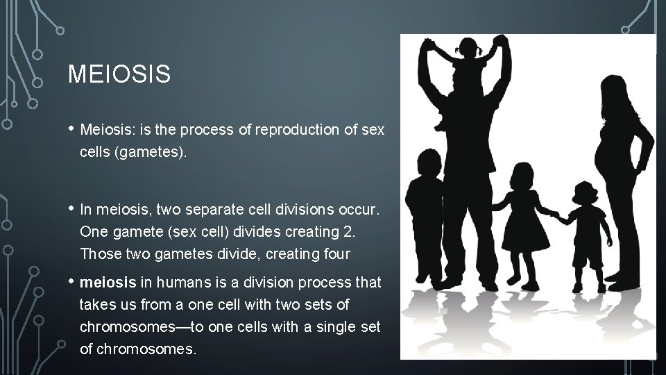 MEIOSIS • Meiosis: is the process of reproduction of sex cells (gametes). • In