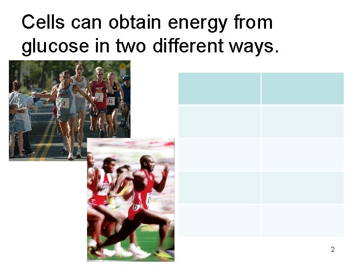 Cells can obtain energy from glucose in two different ways. 2 