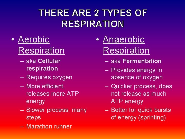 THERE ARE 2 TYPES OF RESPIRATION • Aerobic Respiration – aka Cellular respiration –