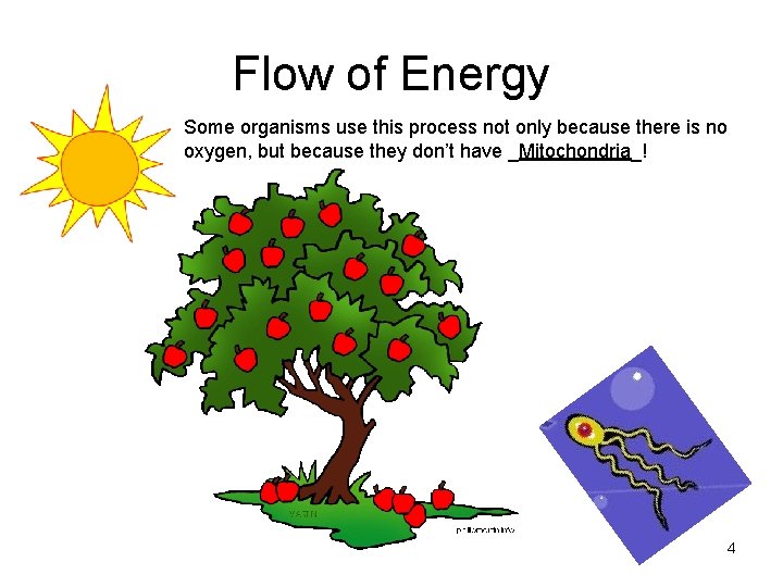 Flow of Energy Some organisms use this process not only because there is no