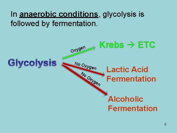 In anaerobic conditions, glycolysis is followed by fermentation. Krebs ETC n xyge O Glycolysis