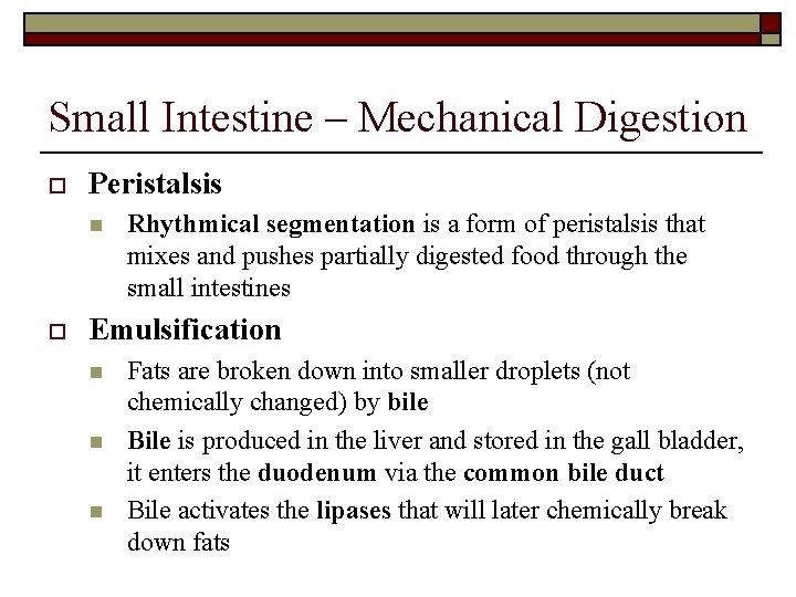 Small Intestine – Mechanical Digestion o Peristalsis n o Rhythmical segmentation is a form