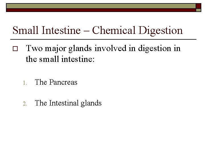 Small Intestine – Chemical Digestion o Two major glands involved in digestion in the