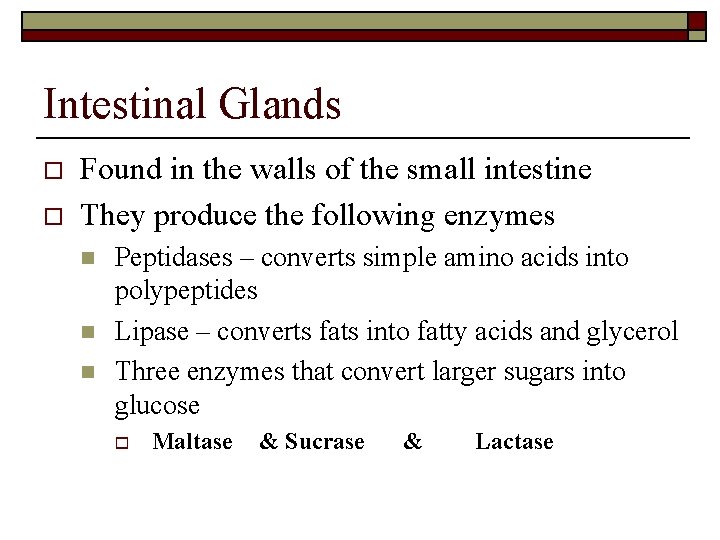 Intestinal Glands o o Found in the walls of the small intestine They produce