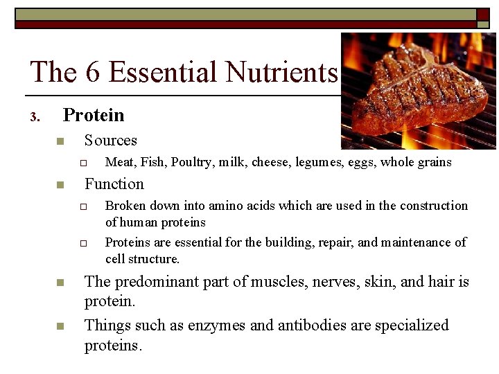 The 6 Essential Nutrients 3. Protein n Sources o n Function o o n