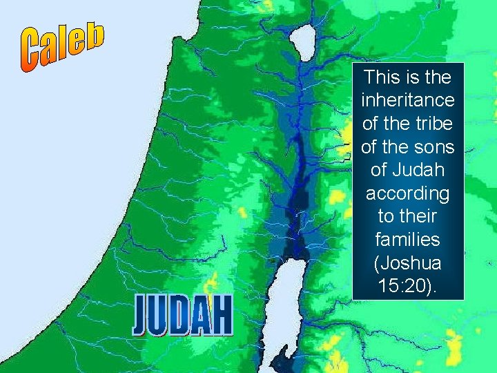 This is the inheritance of the tribe of the sons of Judah according to