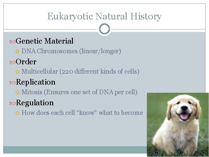 Eukaryotic Natural History Genetic Material DNA Chromosomes (linear/longer) Order Multicellular (220 different kinds of