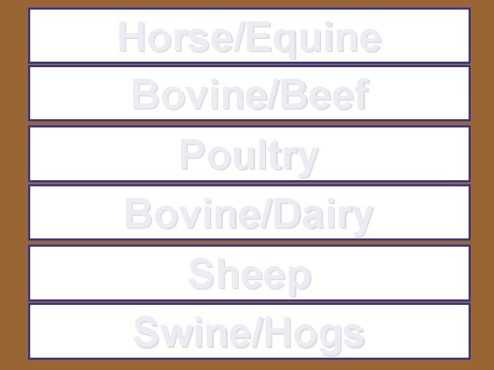 Horse/Equine Bovine/Beef Poultry Bovine/Dairy Sheep Swine/Hogs 