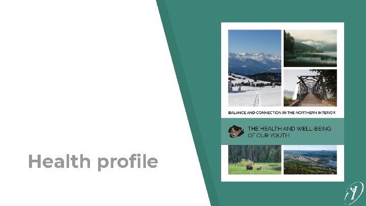 Health profile 