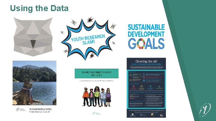 Using the Data 