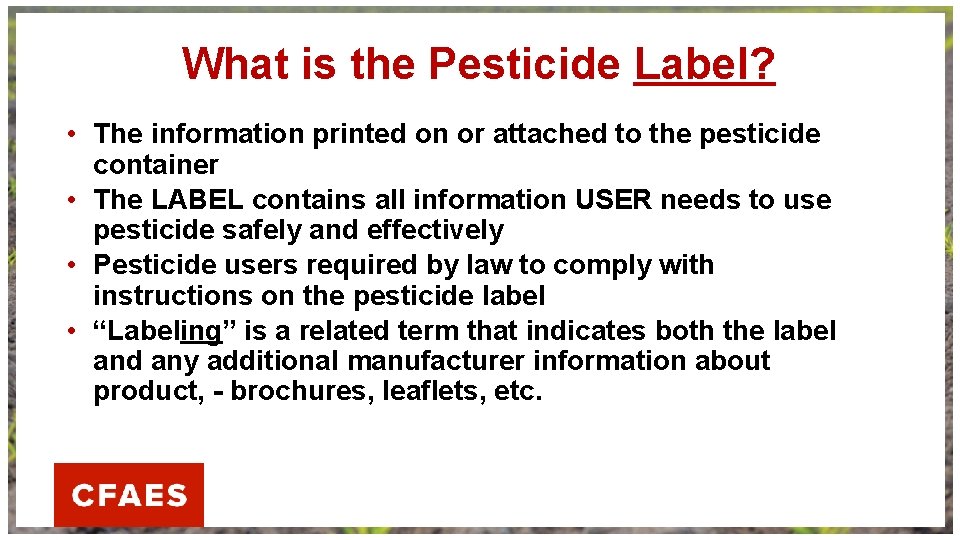 What is the Pesticide Label? • The information printed on or attached to the