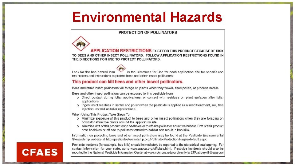 Environmental Hazards 