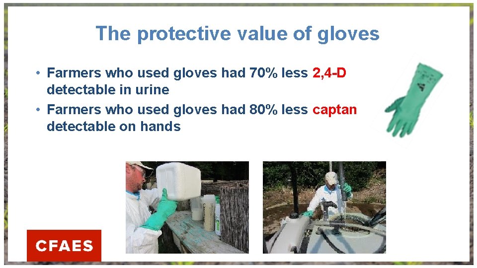 The protective value of gloves • Farmers who used gloves had 70% less 2,