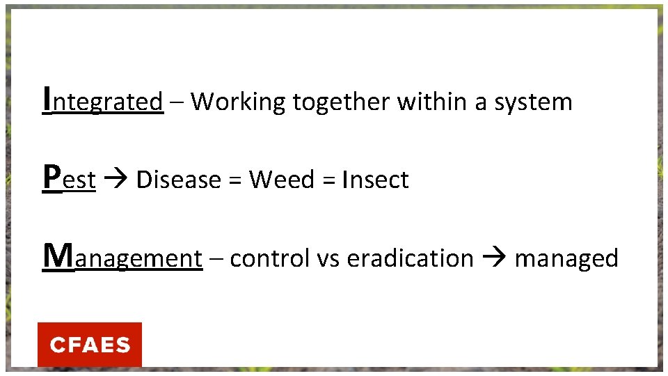 Integrated – Working together within a system Pest Disease = Weed = Insect Management