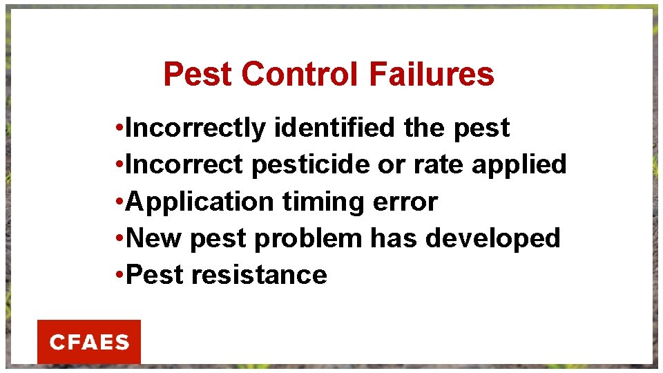 Pest Control Failures • Incorrectly identified the pest • Incorrect pesticide or rate applied
