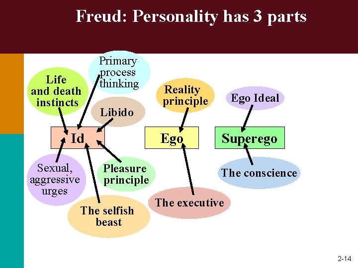 Freud: Personality has 3 parts Life and death instincts Primary process thinking Libido Id