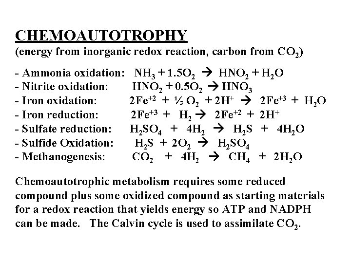 CHEMOAUTOTROPHY (energy from inorganic redox reaction, carbon from CO 2) - Ammonia oxidation: -