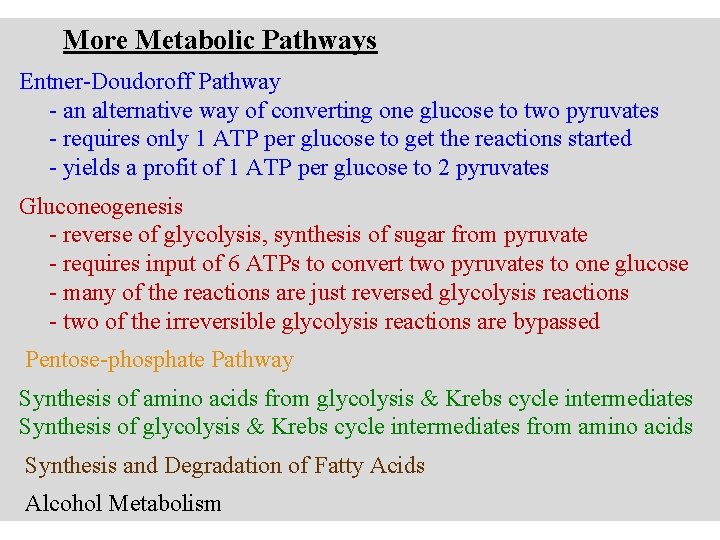 More Metabolic Pathways Entner-Doudoroff Pathway - an alternative way of converting one glucose to