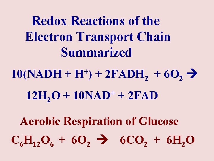 Redox Reactions of the Electron Transport Chain Summarized 10(NADH + H+) + 2 FADH