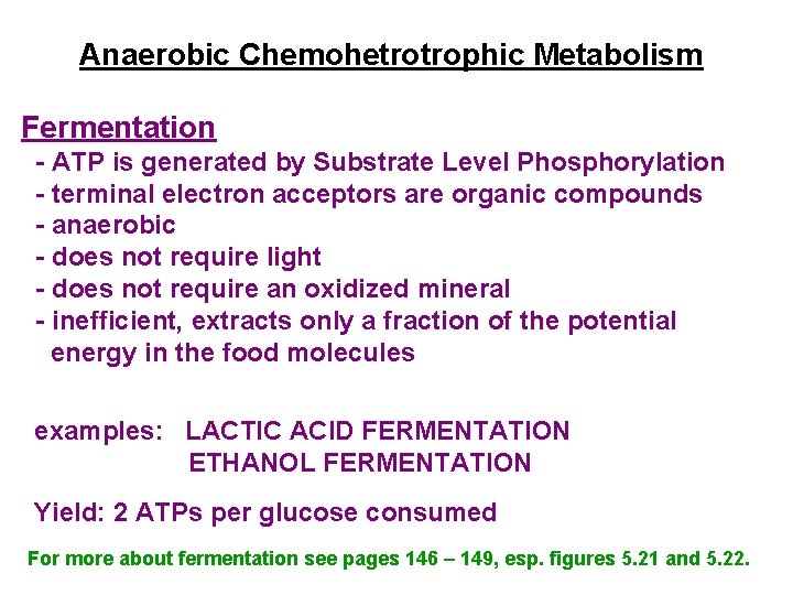 Anaerobic Chemohetrotrophic Metabolism Fermentation - ATP is generated by Substrate Level Phosphorylation - terminal