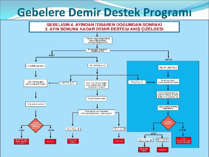 Gebelere Demir Destek Programı 