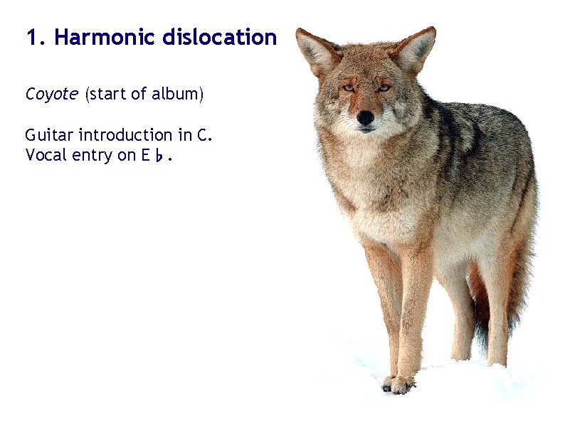 1. Harmonic dislocation Coyote (start of album) Guitar introduction in C. Vocal entry on 1. Harmonic dislocation Coyote (start of album) Guitar introduction in C. Vocal entry on