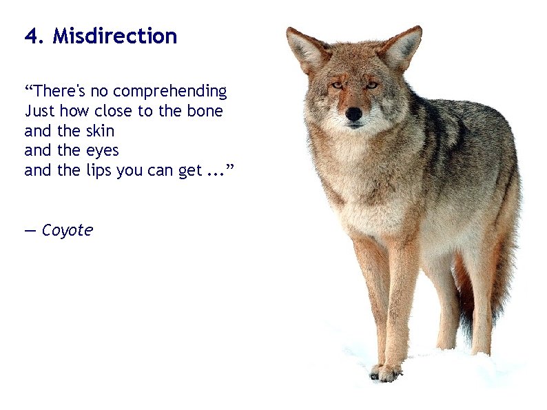 4. Misdirection “There's no comprehending Just how close to the bone and the skin 4. Misdirection “There's no comprehending Just how close to the bone and the skin