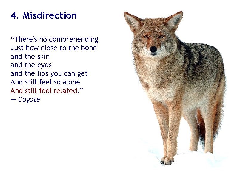 4. Misdirection “There's no comprehending Just how close to the bone and the skin 4. Misdirection “There's no comprehending Just how close to the bone and the skin