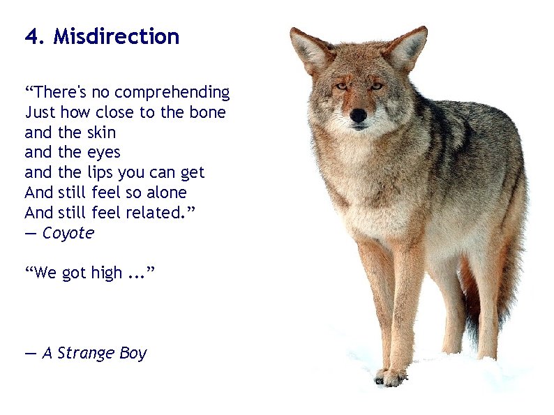 4. Misdirection “There's no comprehending Just how close to the bone and the skin 4. Misdirection “There's no comprehending Just how close to the bone and the skin