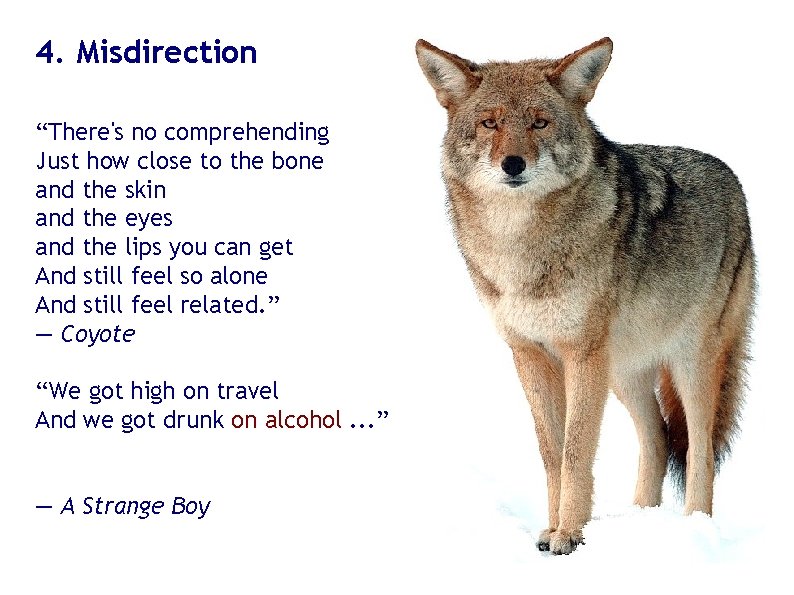 4. Misdirection “There's no comprehending Just how close to the bone and the skin 4. Misdirection “There's no comprehending Just how close to the bone and the skin
