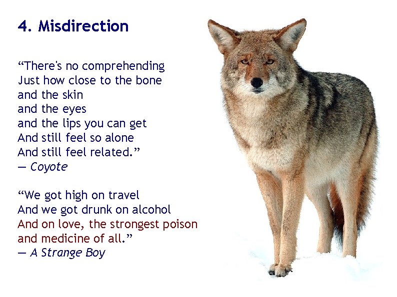 4. Misdirection “There's no comprehending Just how close to the bone and the skin 4. Misdirection “There's no comprehending Just how close to the bone and the skin