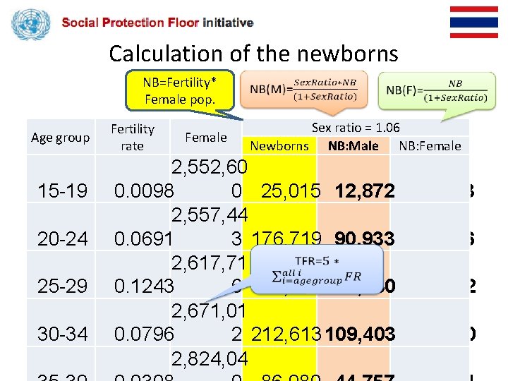 Calculation of the newborns NB=Fertility* Female pop. Age group 15 -19 20 -24 25