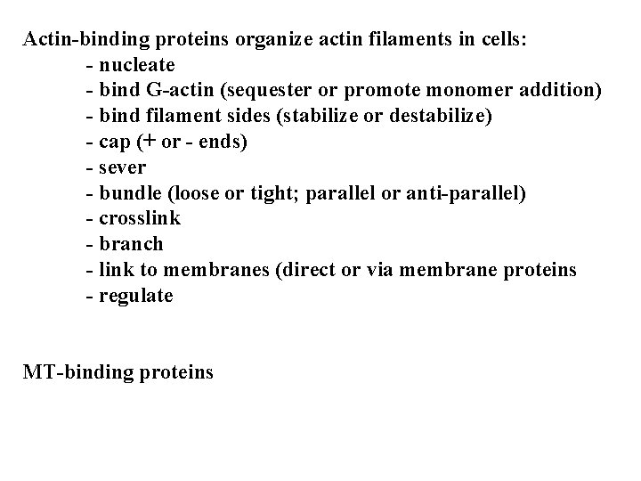 Actin-binding proteins organize actin filaments in cells: - nucleate - bind G-actin (sequester or