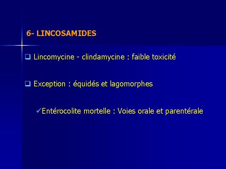 6 - LINCOSAMIDES q Lincomycine - clindamycine : faible toxicité q Exception : équidés