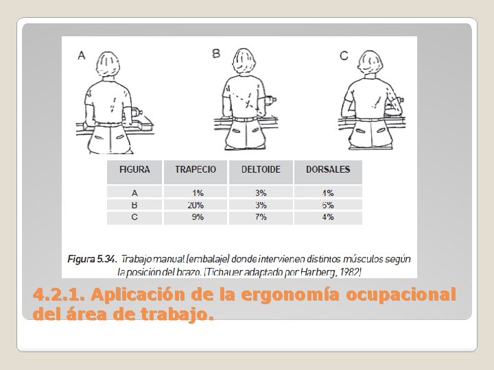 4. 2. 1. Aplicación de la ergonomía ocupacional del área de trabajo. 