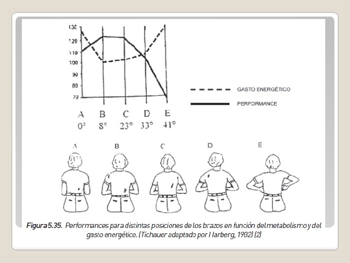 4. 2. 1. Aplicación de la ergonomía ocupacional del área de trabajo. 