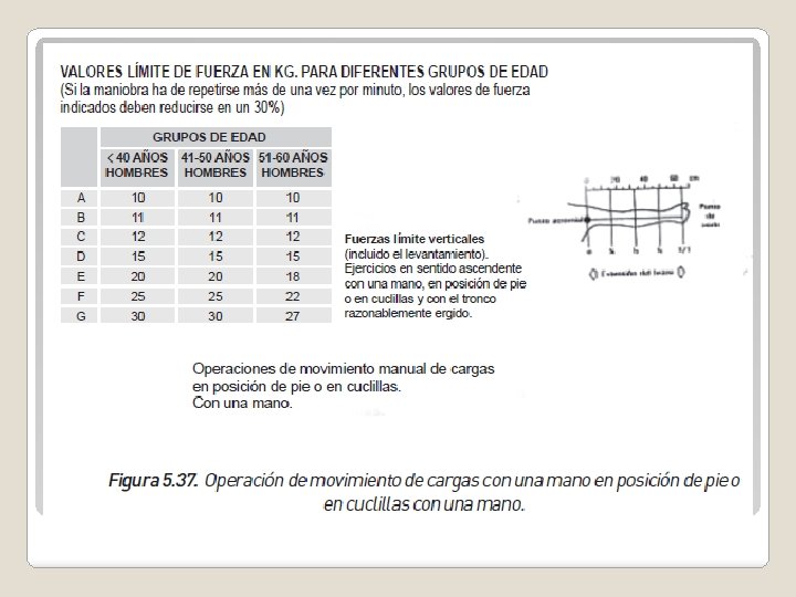 4. 2. 1. Aplicación de la ergonomía ocupacional del área de trabajo. 