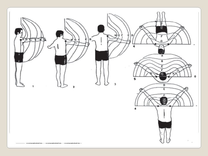 4. 2. 1. Aplicación de la ergonomía ocupacional del área de trabajo. 