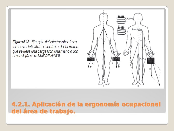 4. 2. 1. Aplicación de la ergonomía ocupacional del área de trabajo. 